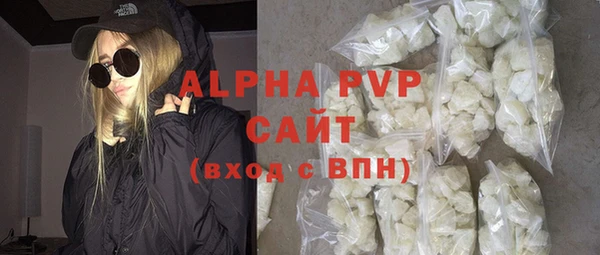 индика Богданович
