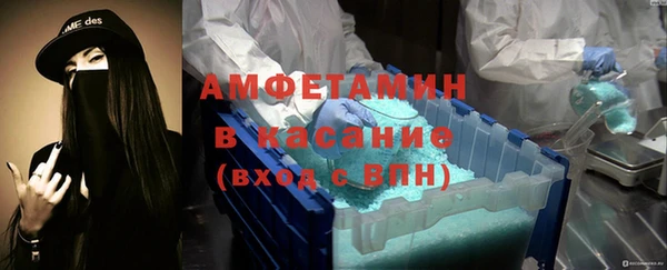 индика Богданович
