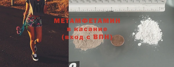 индика Богданович