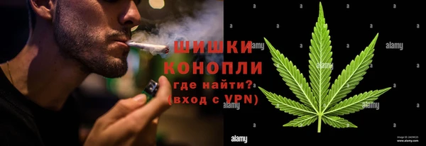 индика Богданович