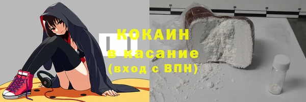 индика Богданович