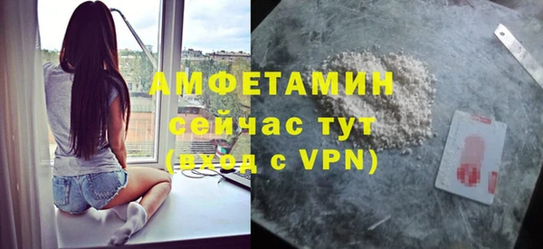 индика Богданович