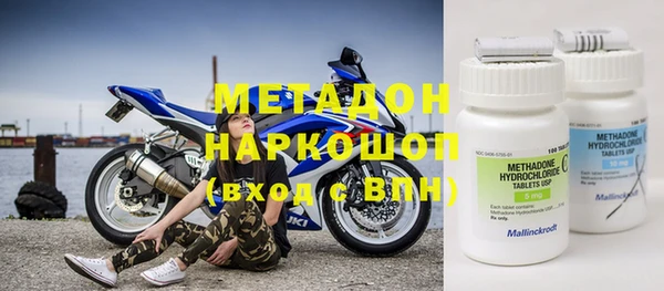 индика Богданович